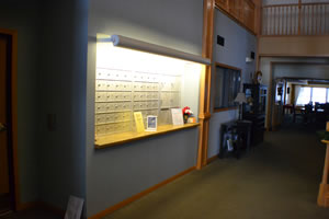 photo from heated garage